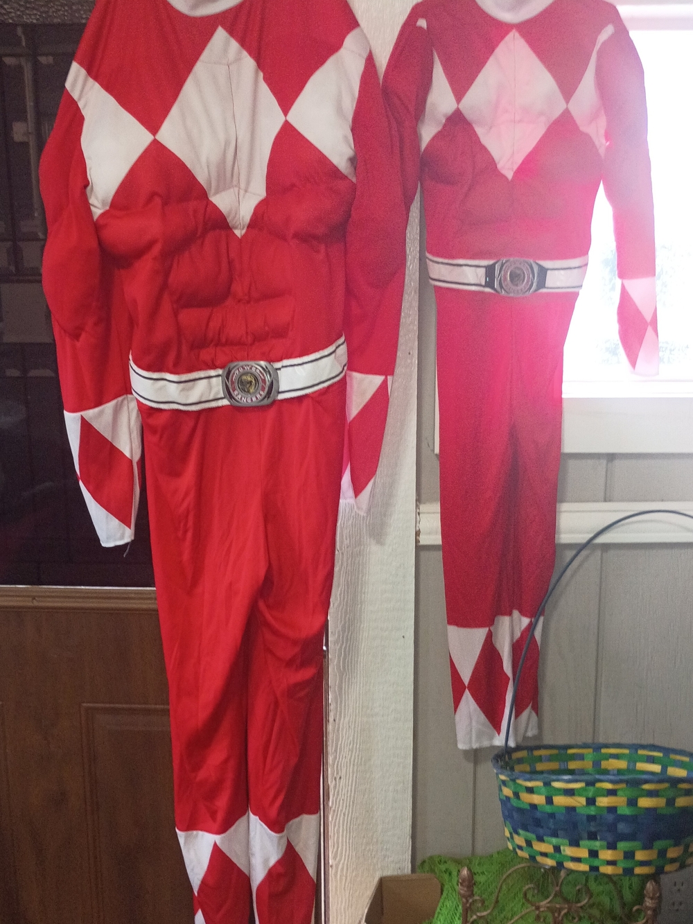Hasbro Adult And Child Red Power Ranger Superhero Costume